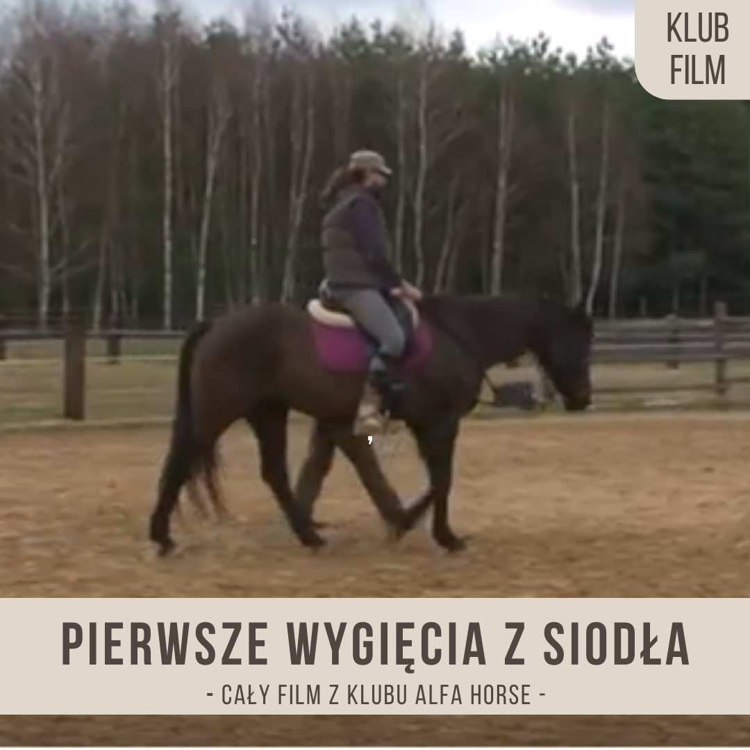 przesuniecia_do_ser_lopatki_pierwsze_wygiecia