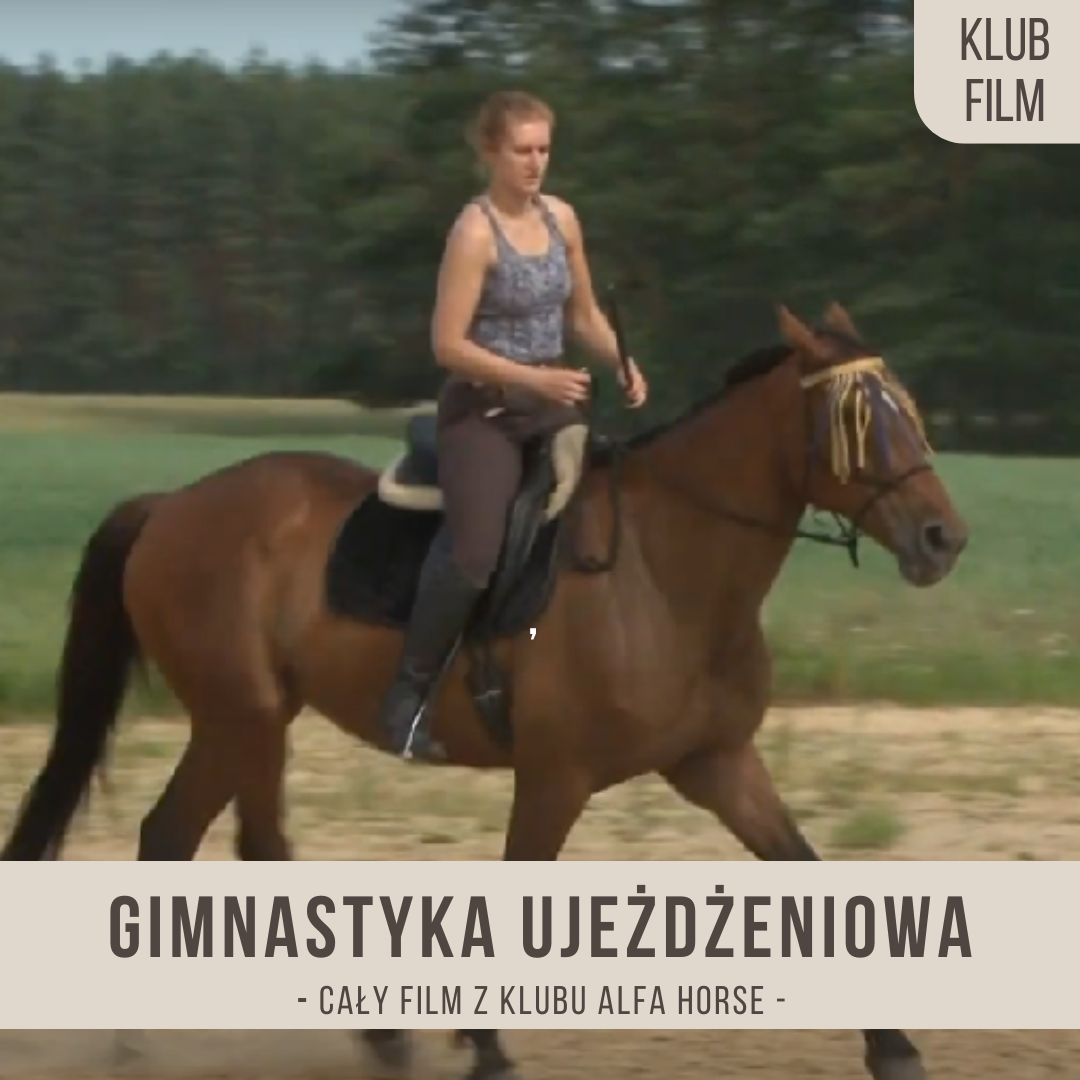 gimnastyka_ujezdzeniowa_wydluzenie_wykroku_odwrocona_lopatka_trawers_polpiruet_ciag