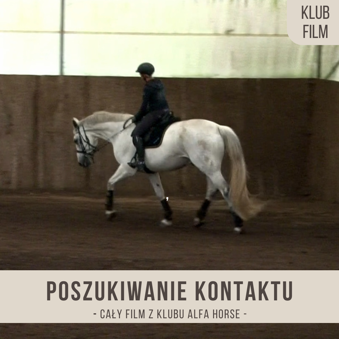 poszukiwanie_kontaktu_kontakt_w_niskim_ustawieniu