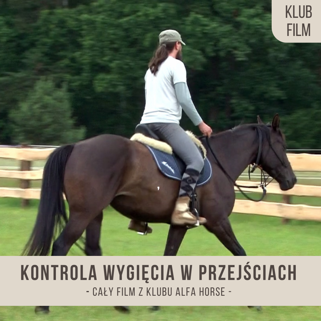 kontrola_wygiecia_w_przejsciach