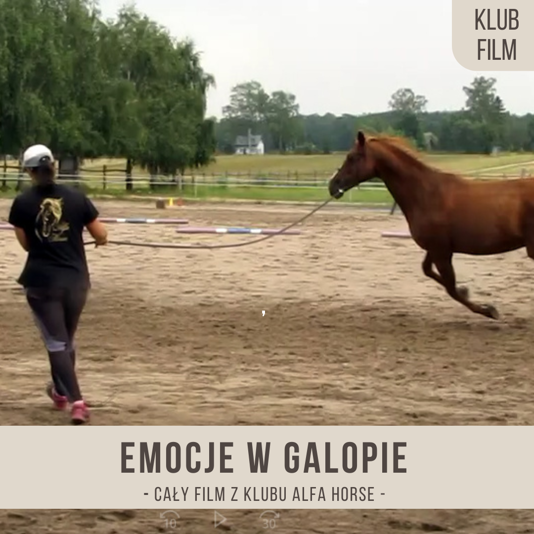 emocje_w_galopie