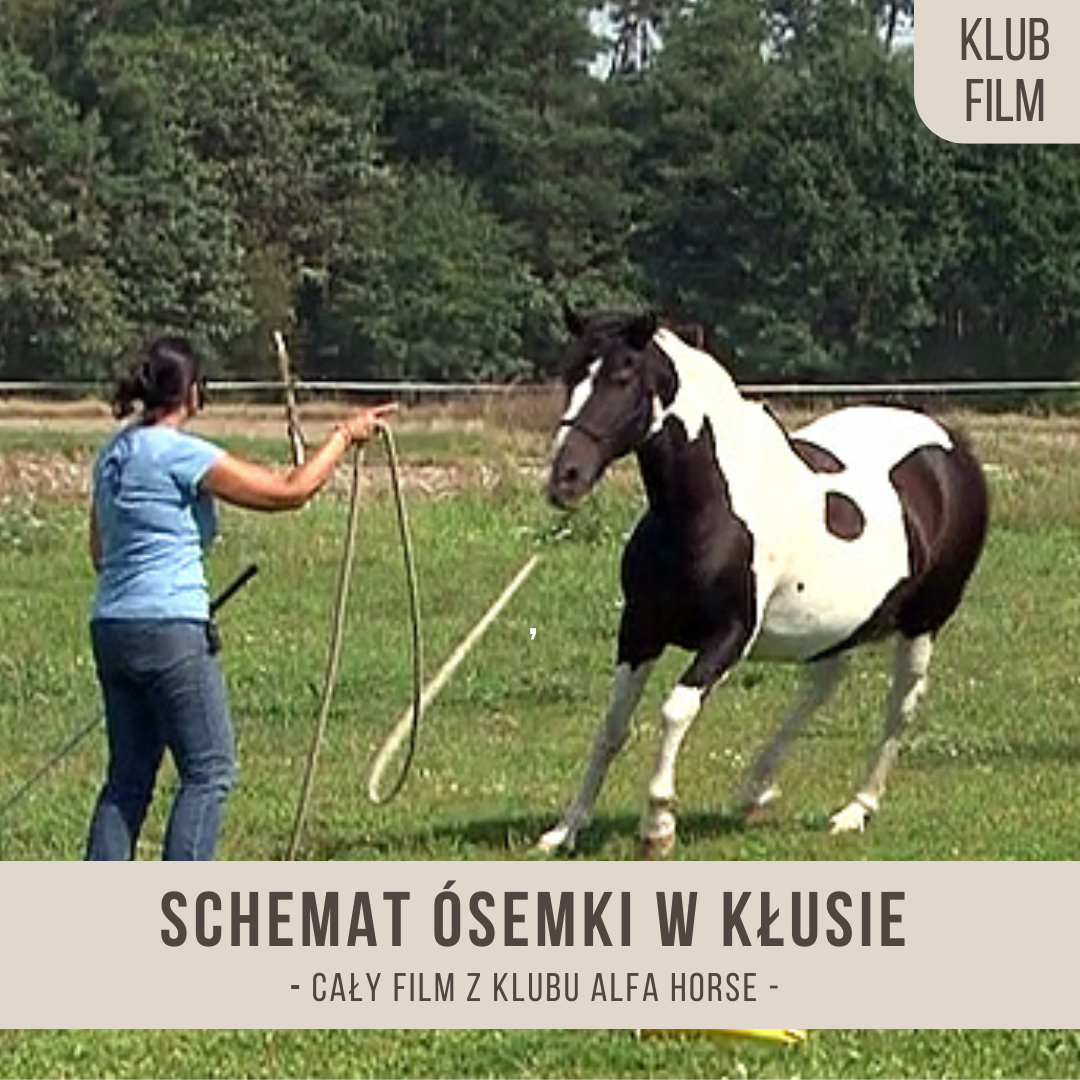 schemat_osemki_w_klusie