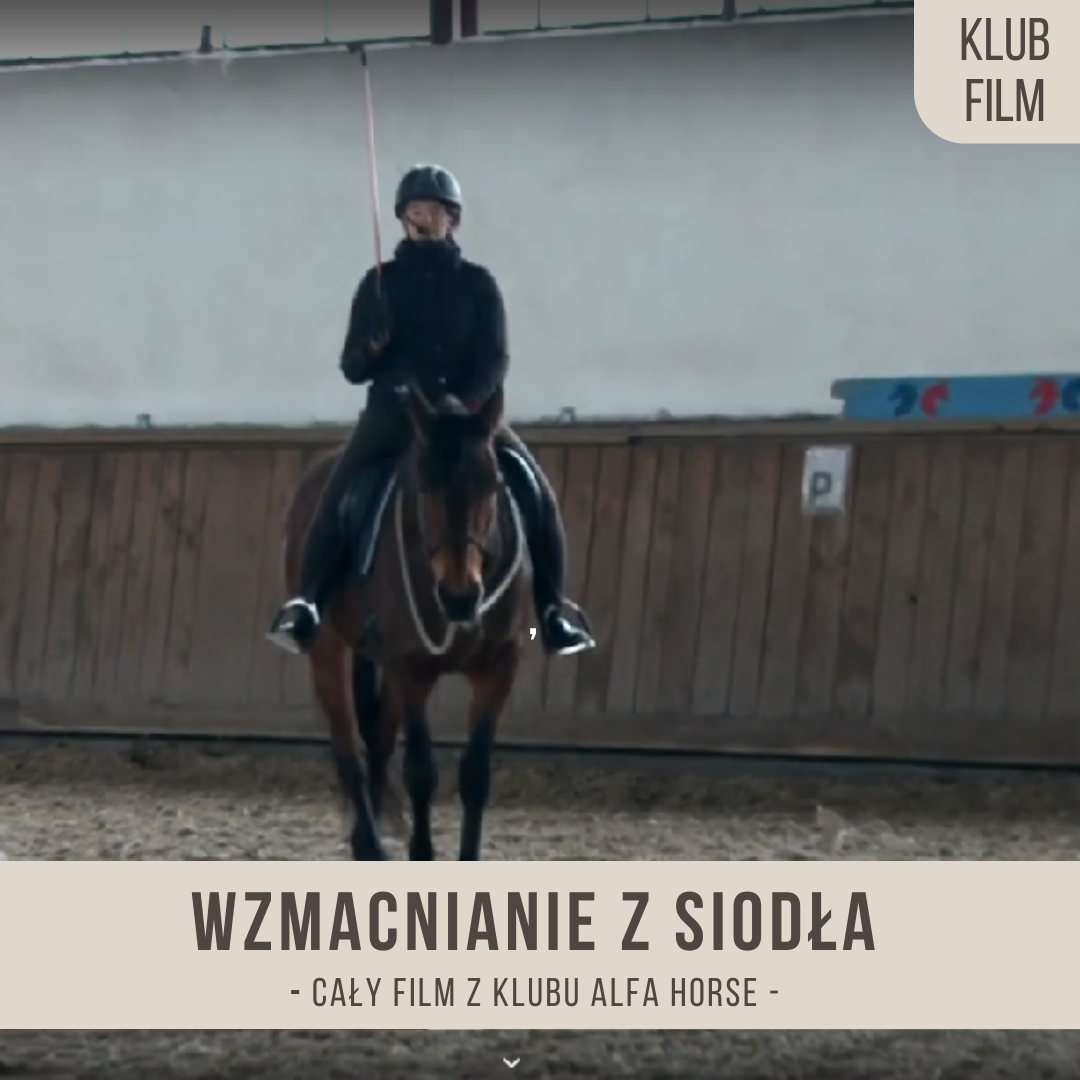 wzmacnianie_z_sioala_zastapienie_wodzy_batrm