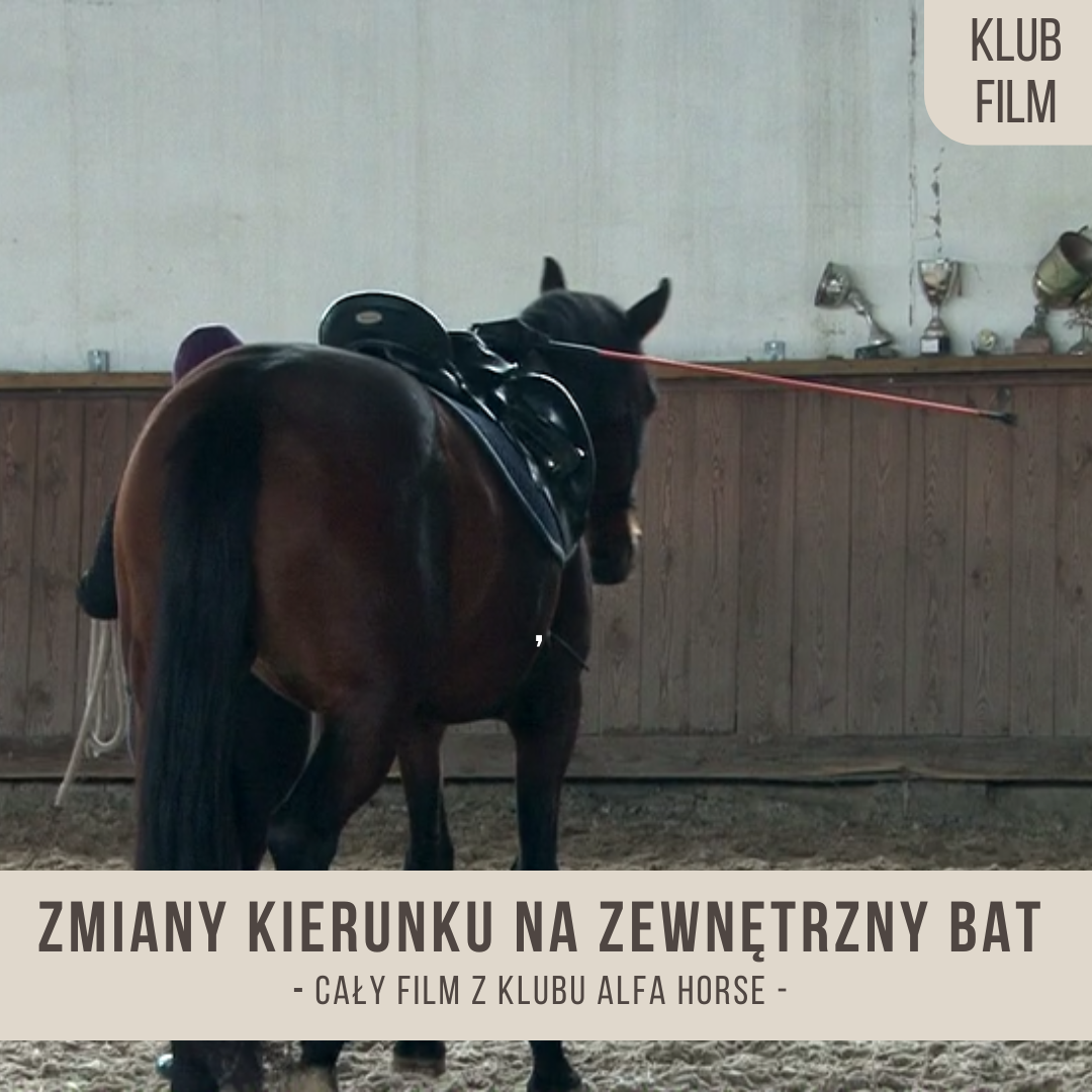 zmiany_kierunku_na_zewnetrzny_bat