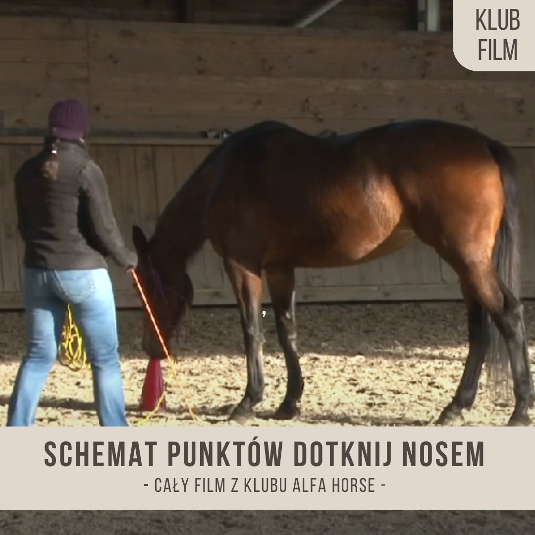 schemat_punktow_dotknij_nosem