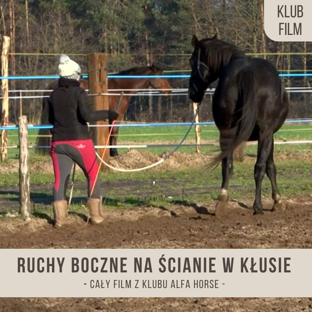 ruchy_boczne_na_scisnie_w_klusie