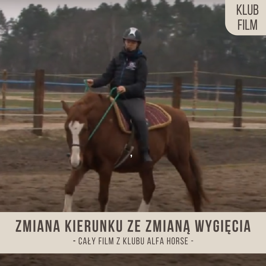 zmiana_kierunku_ze_zmiana_wygiecia