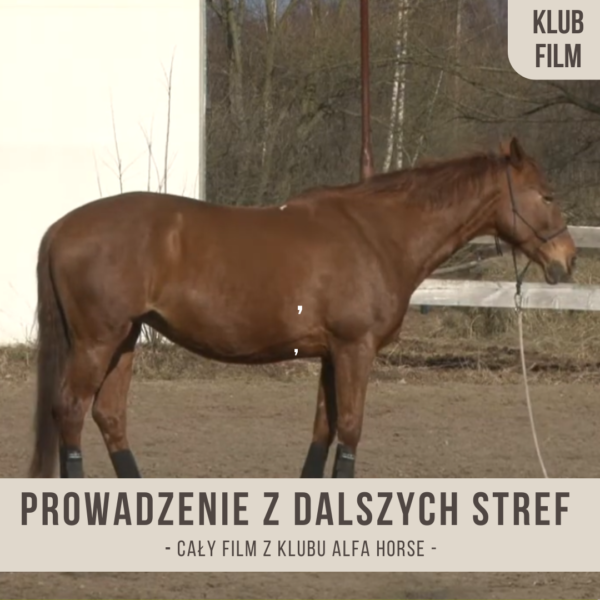 prowadzenie_z_dalszych_stref_czwartej_i_piatej