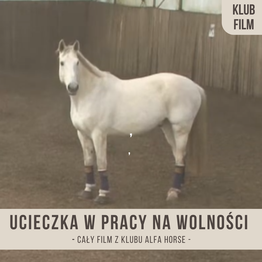 ucieczka_w_pracy_na_wolnosci