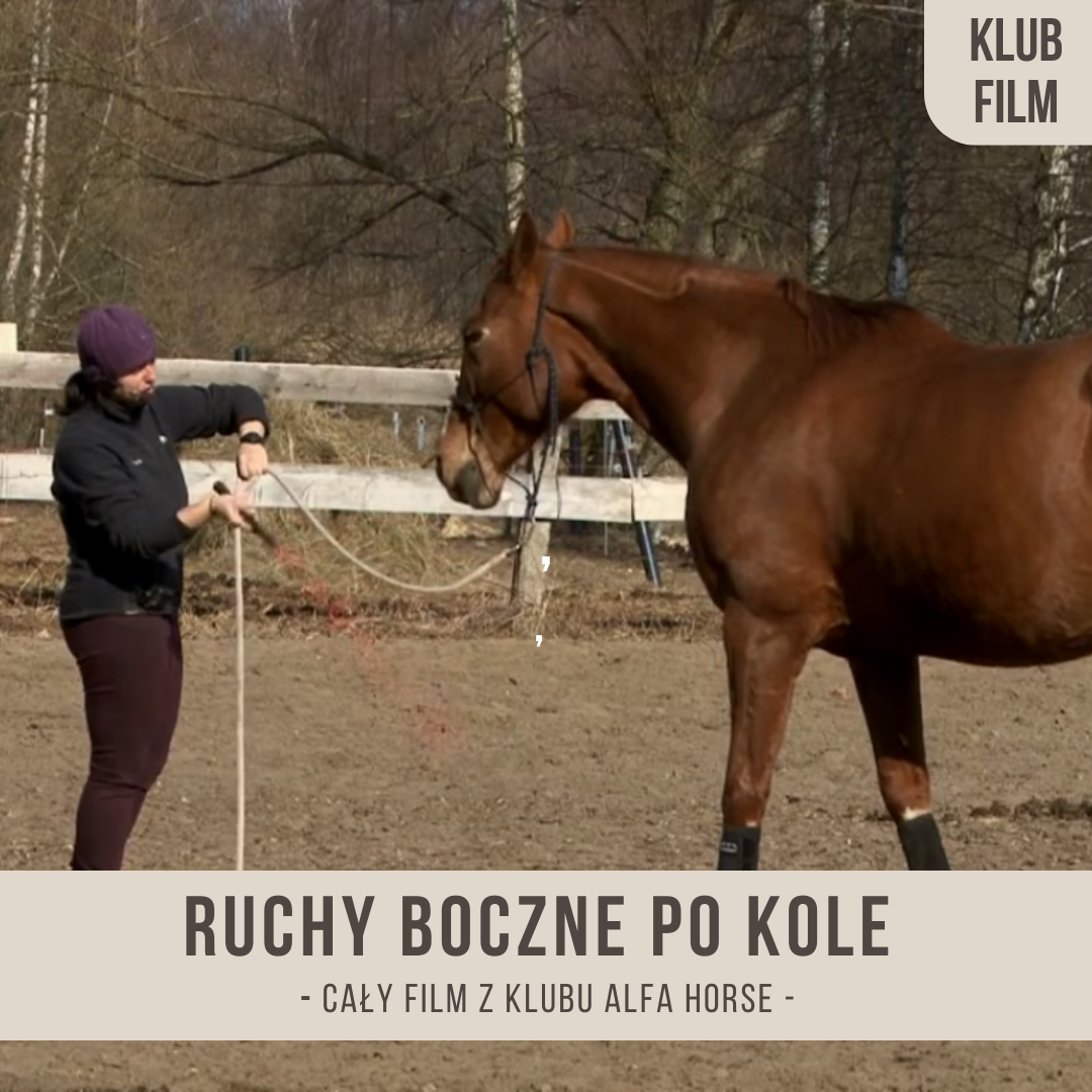 ruchy_boczne_po_kole_ze_strefy_pierwszej