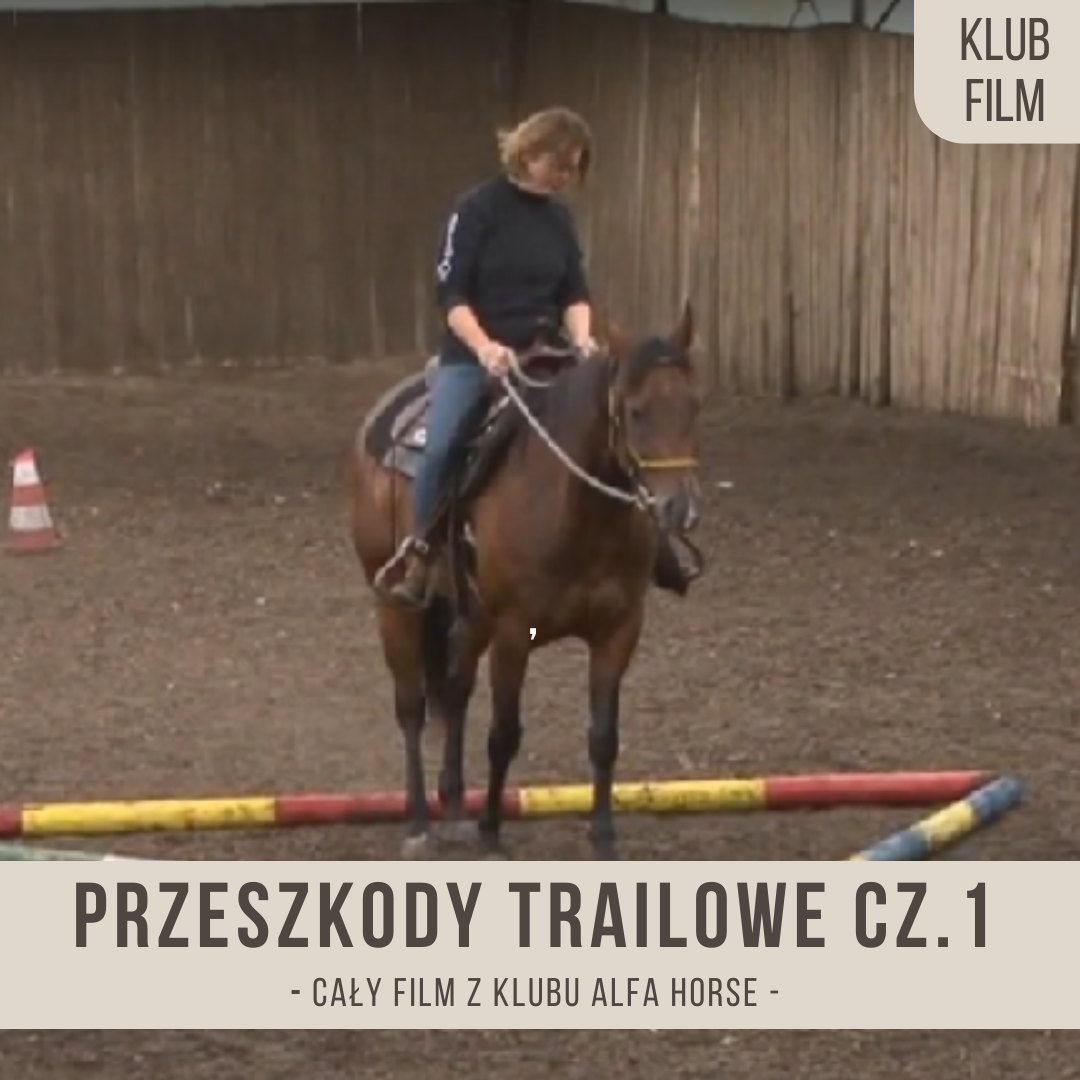 przeszkody_trailowe_czesc_pierwsza