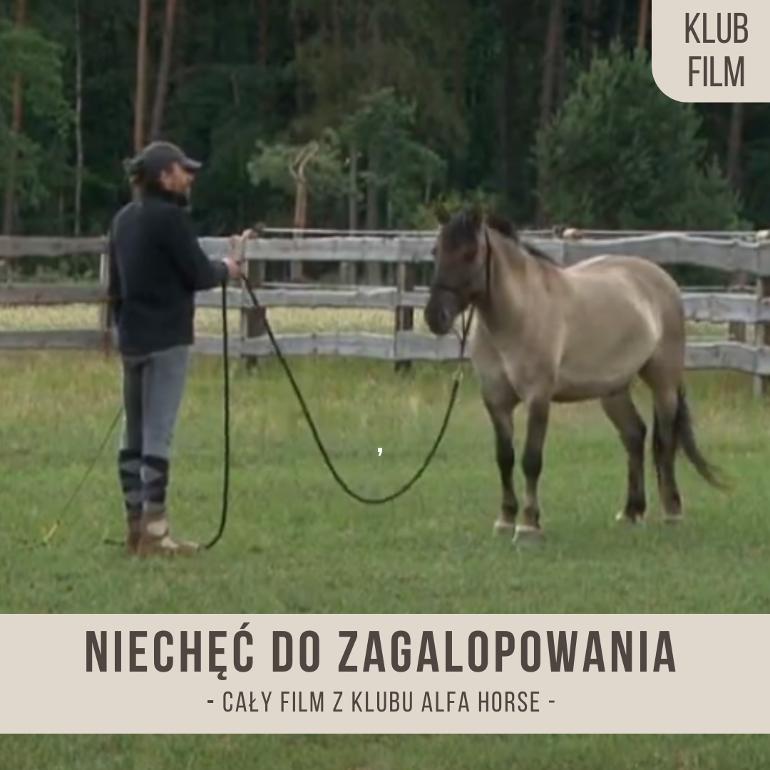 niechec_do_zagalopowania