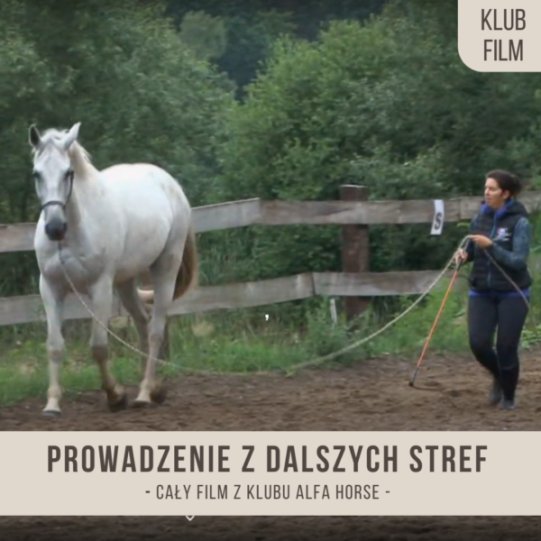 prowadzenie_z_dalszych_stref_klus_galop