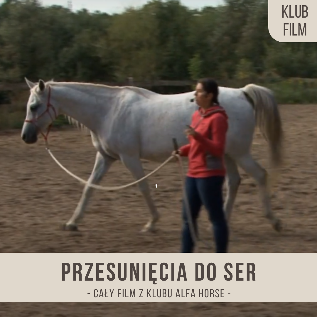 przesuniecia_do_SER
