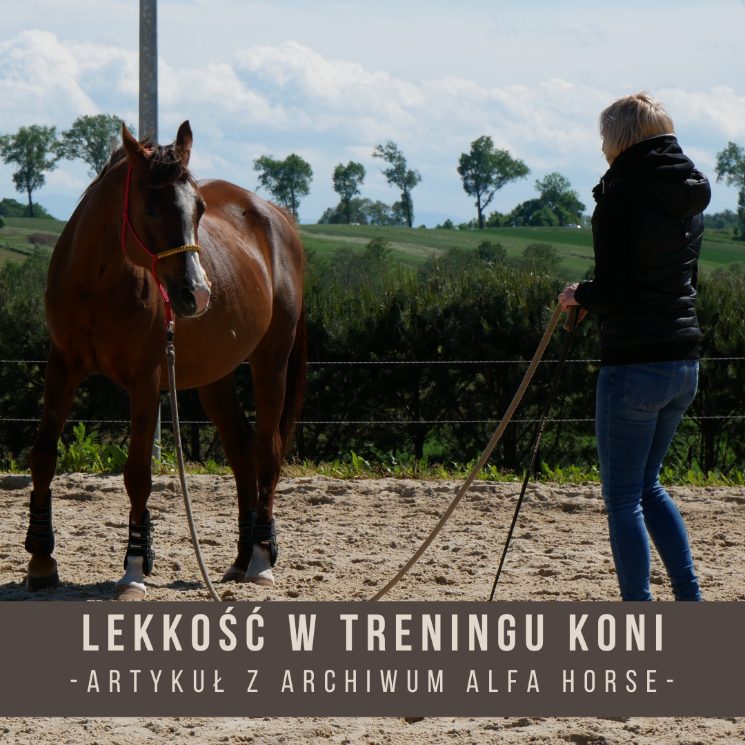 lekkosc_w_treningu_koni_alfa_horse