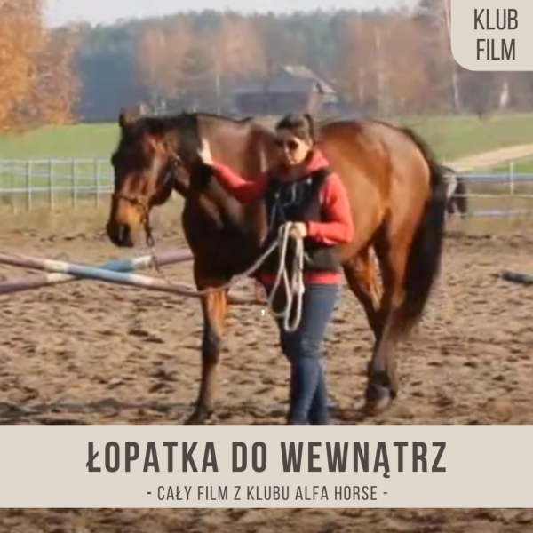 lopatka_do_wewnatrz