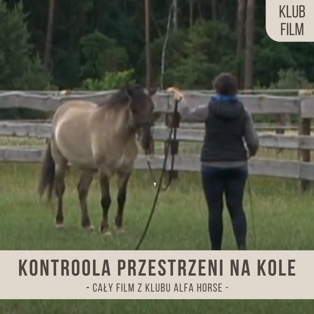 kontrola_przestrzeni_na_kloe
