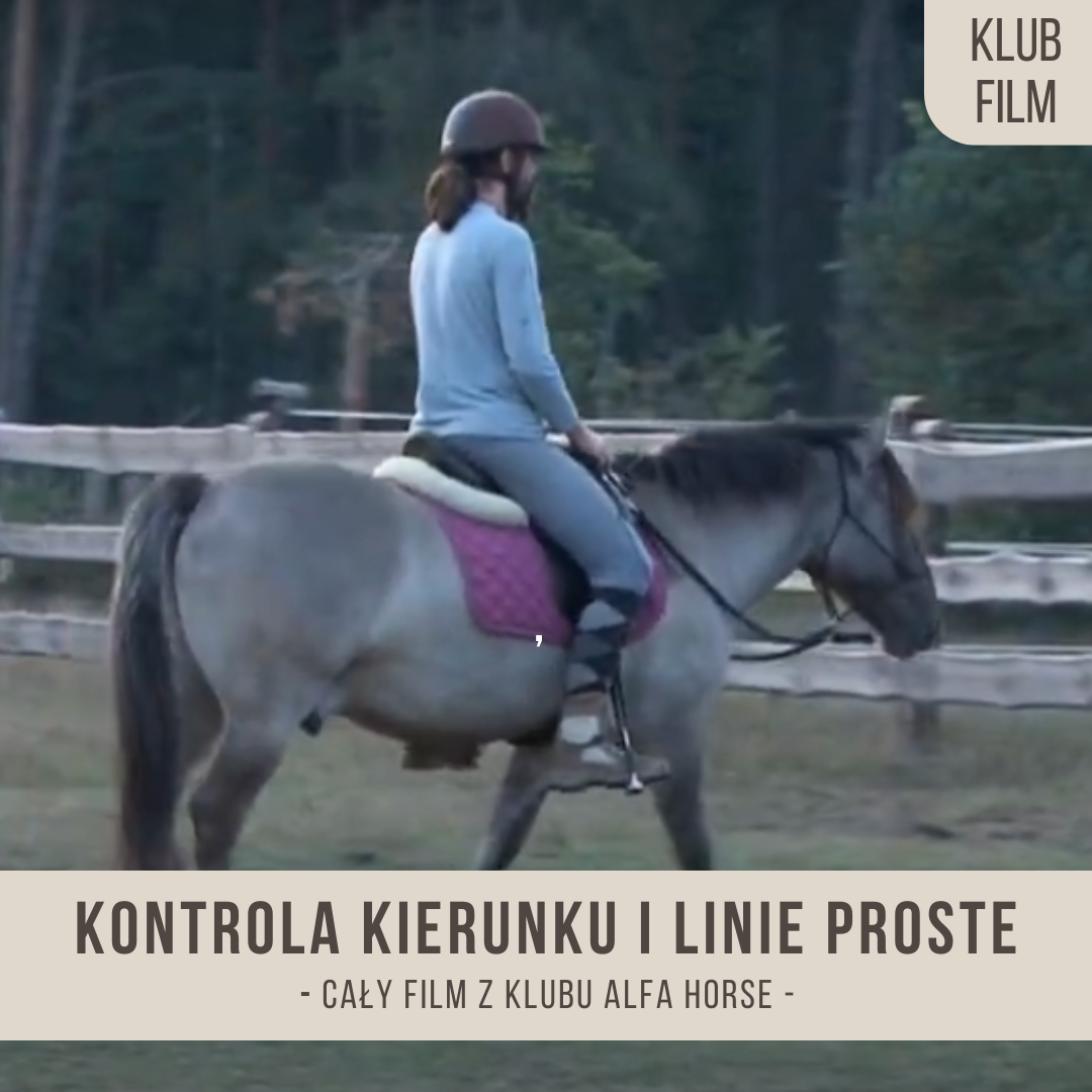 kontrola_kierunku_i_linie_proste