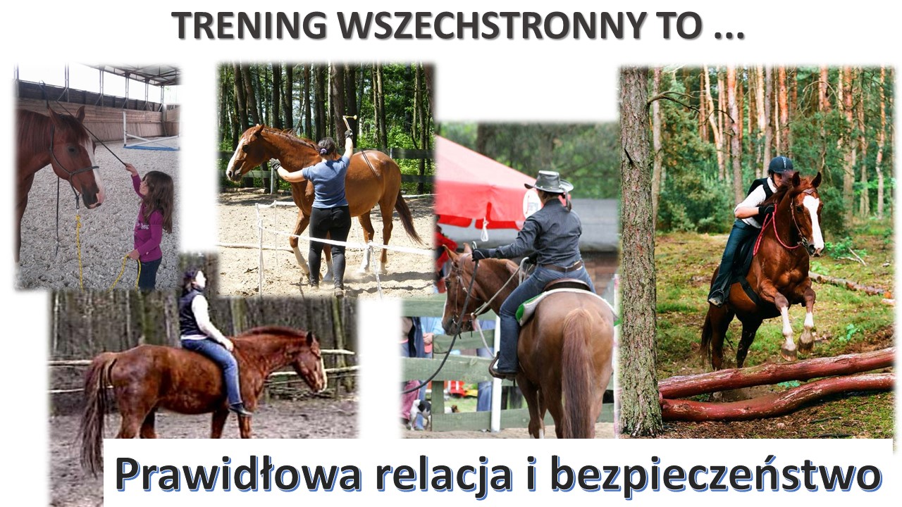 trening-wszechstronny-kilka-zdjec-kolaz