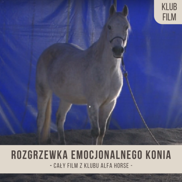 rozgrzewka_emocjonalnego_konia