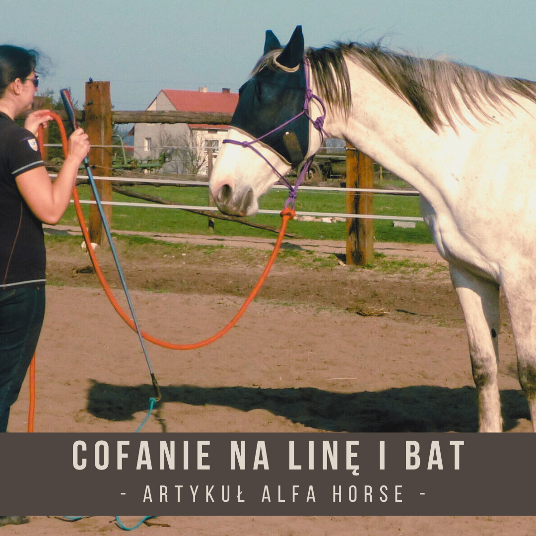 Cofanie na linę i bat
