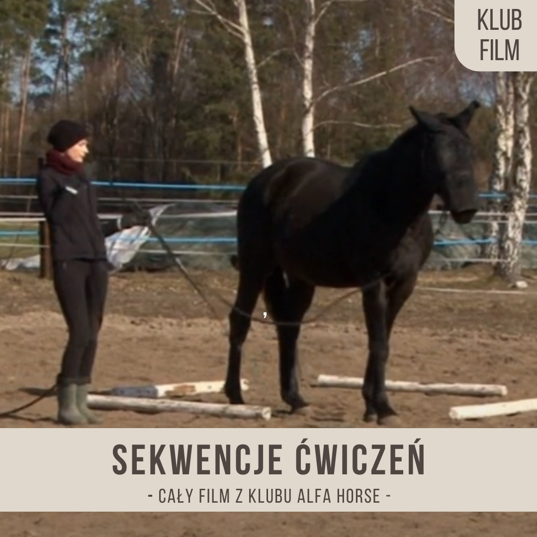 sekwencje_cwiczen