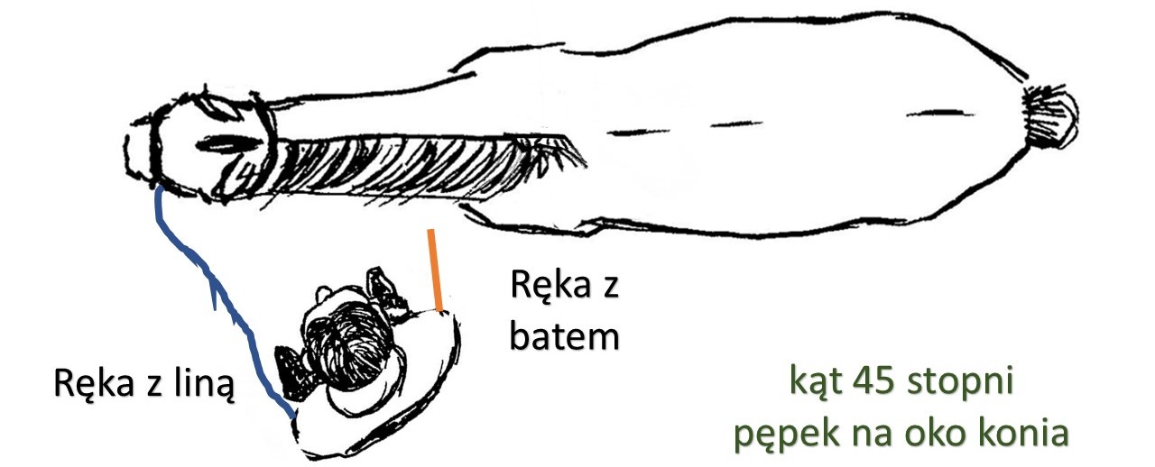 kat_ustawienia_do_konia