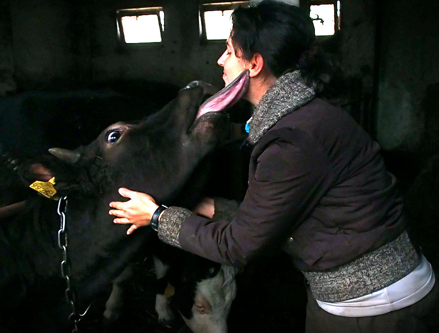 dotyk_trening_konie_3