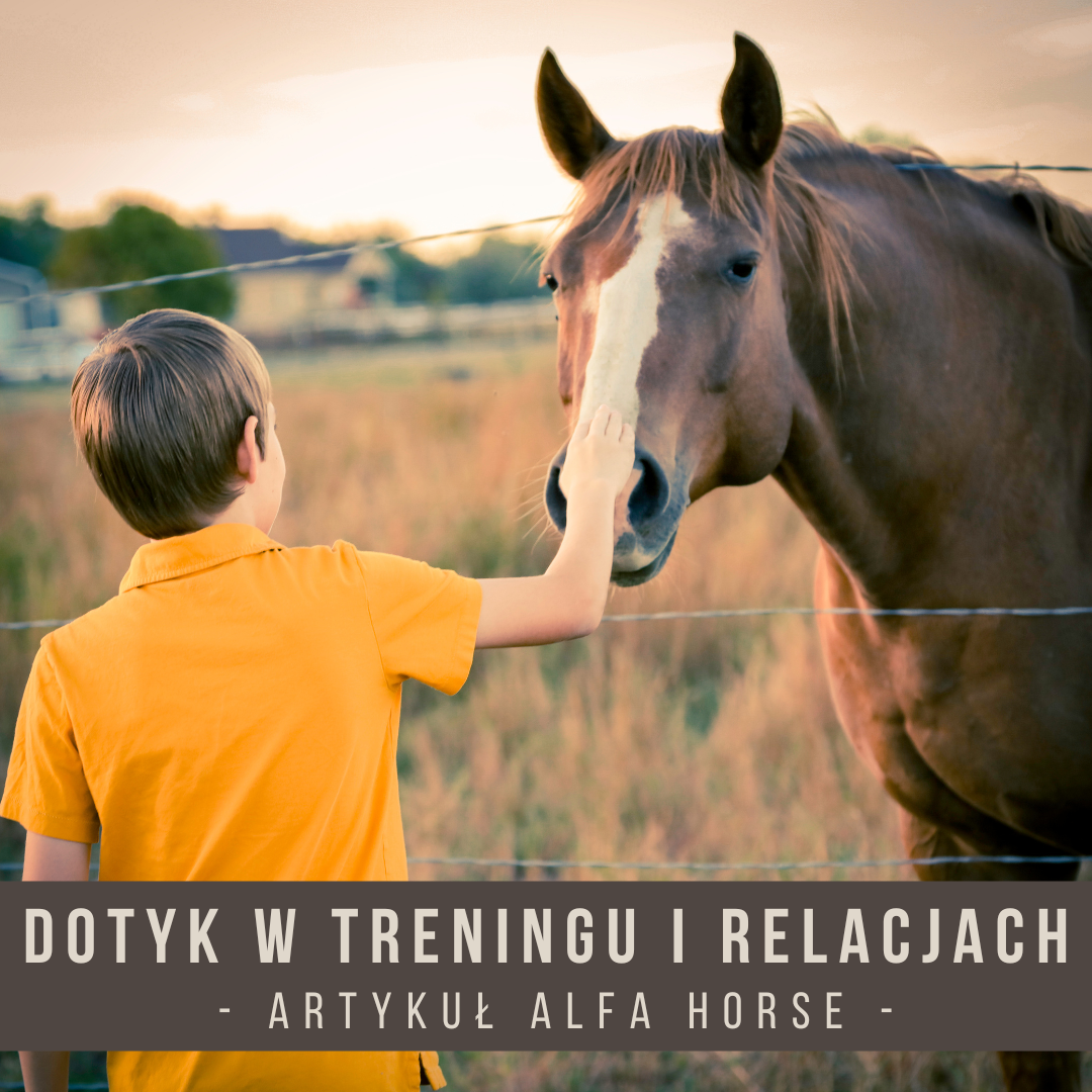 Dotyk w treningu i relacjach