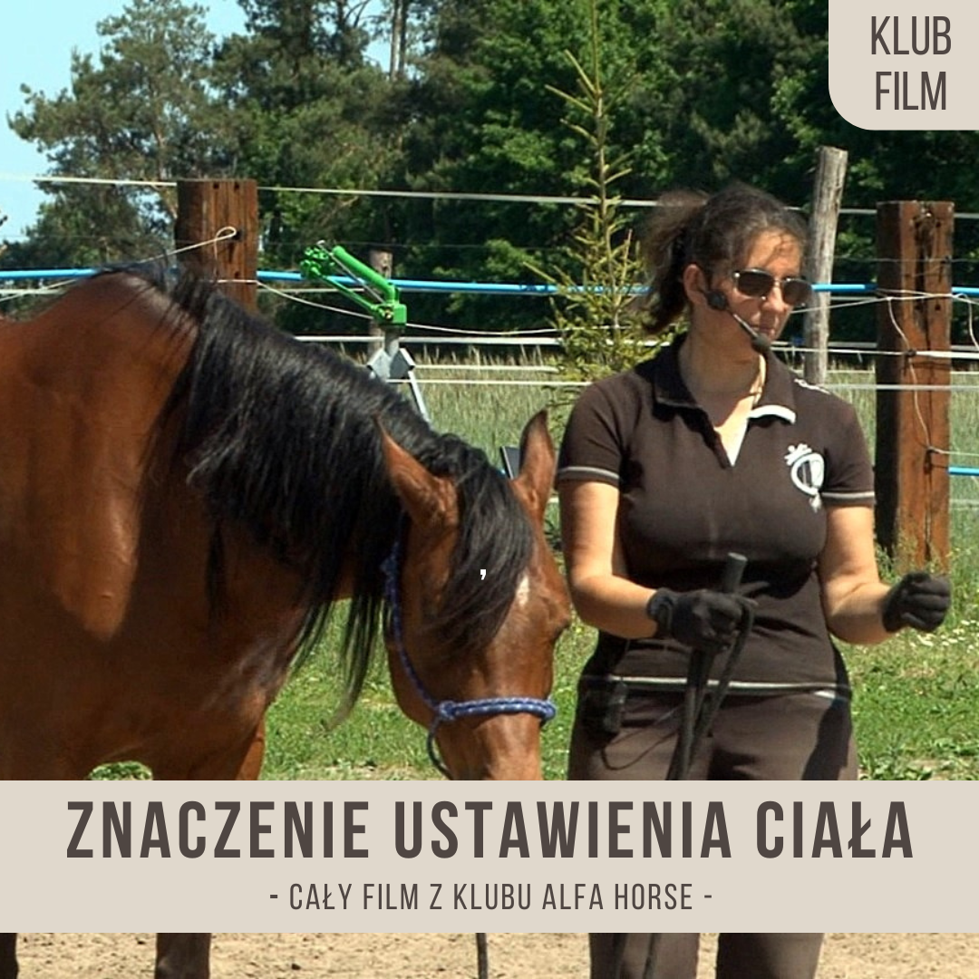 znaczenie_ustawienia_ciala