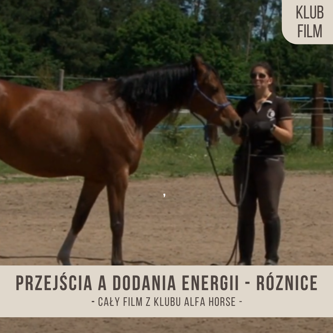 przejscia_a_dodanie_energii_roznice