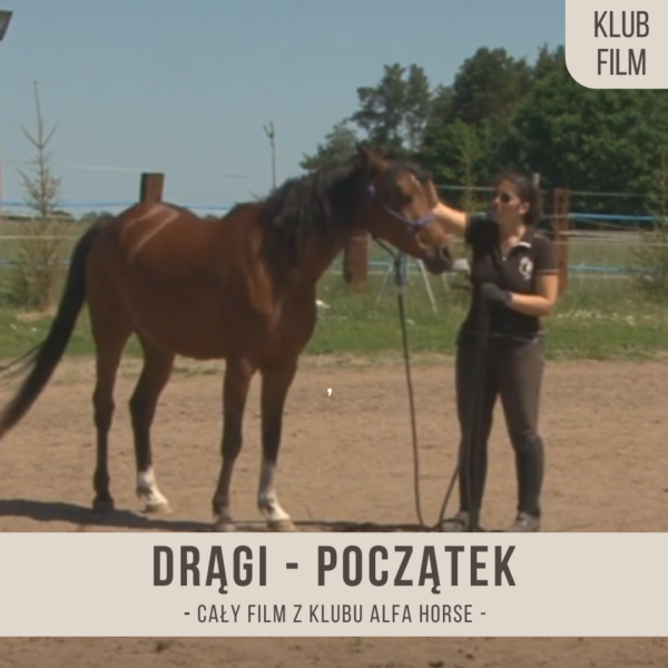 dragi_poczatek