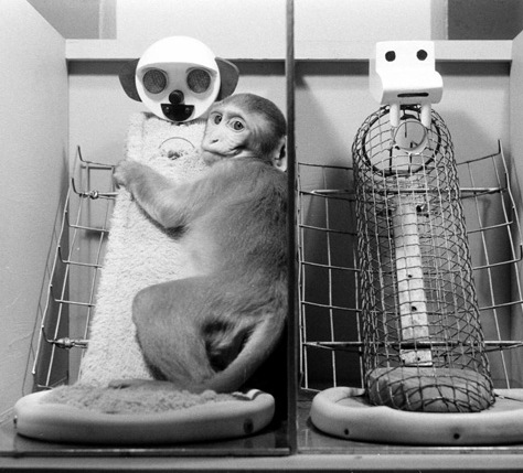 dotyk_trening-koni_1