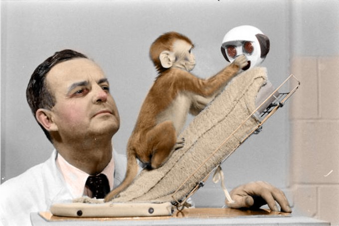 dotyk_trening_konie_5