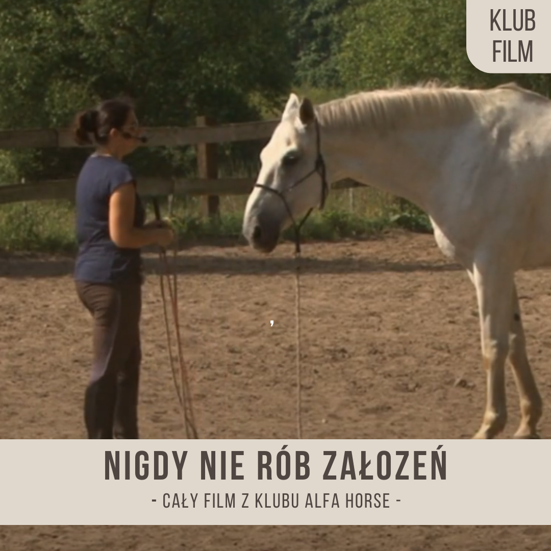 nigdy_nie_rob_zalozen_elegans