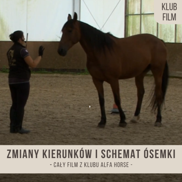 prowadzenie_ze_strefy_3_zmiany_kierunkow_i_schemat_osemki_na_duzym_placu