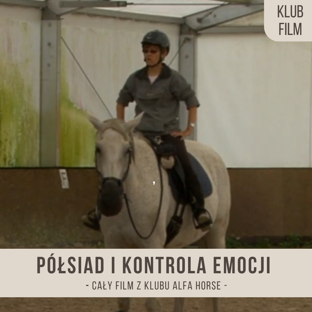 polsiad_i_kontrola_emocji_afera