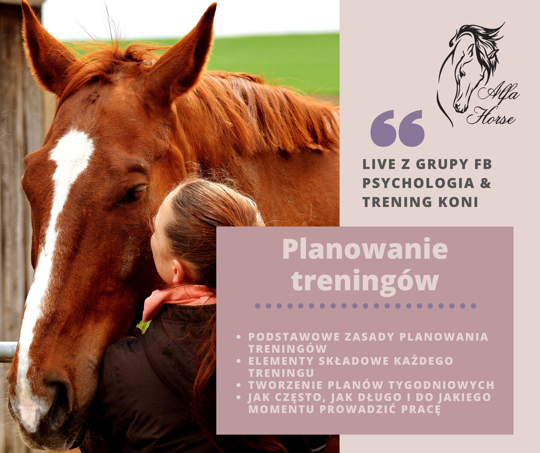 live_7_planowanie_treningu_koni