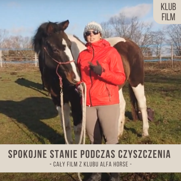 spokojne_stanie_podczas_czyszczenia