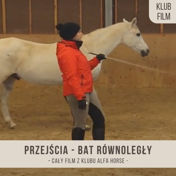 przejscia_bat_rownolegly