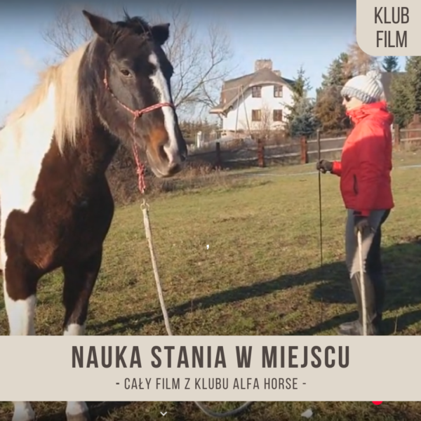 nauka_stania_w_miejscu