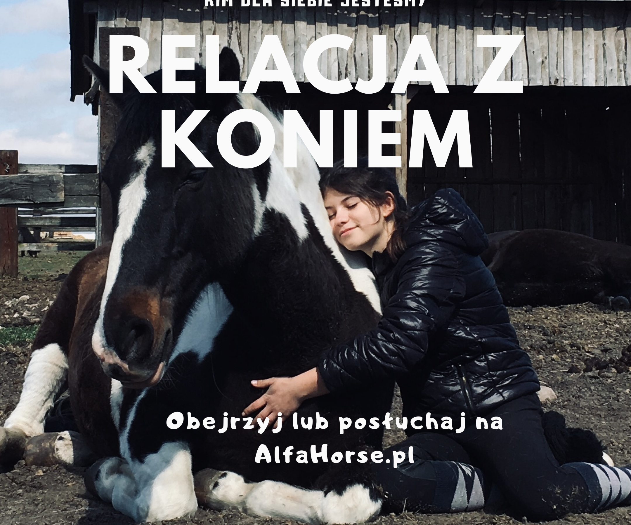 relacja_konie-trening