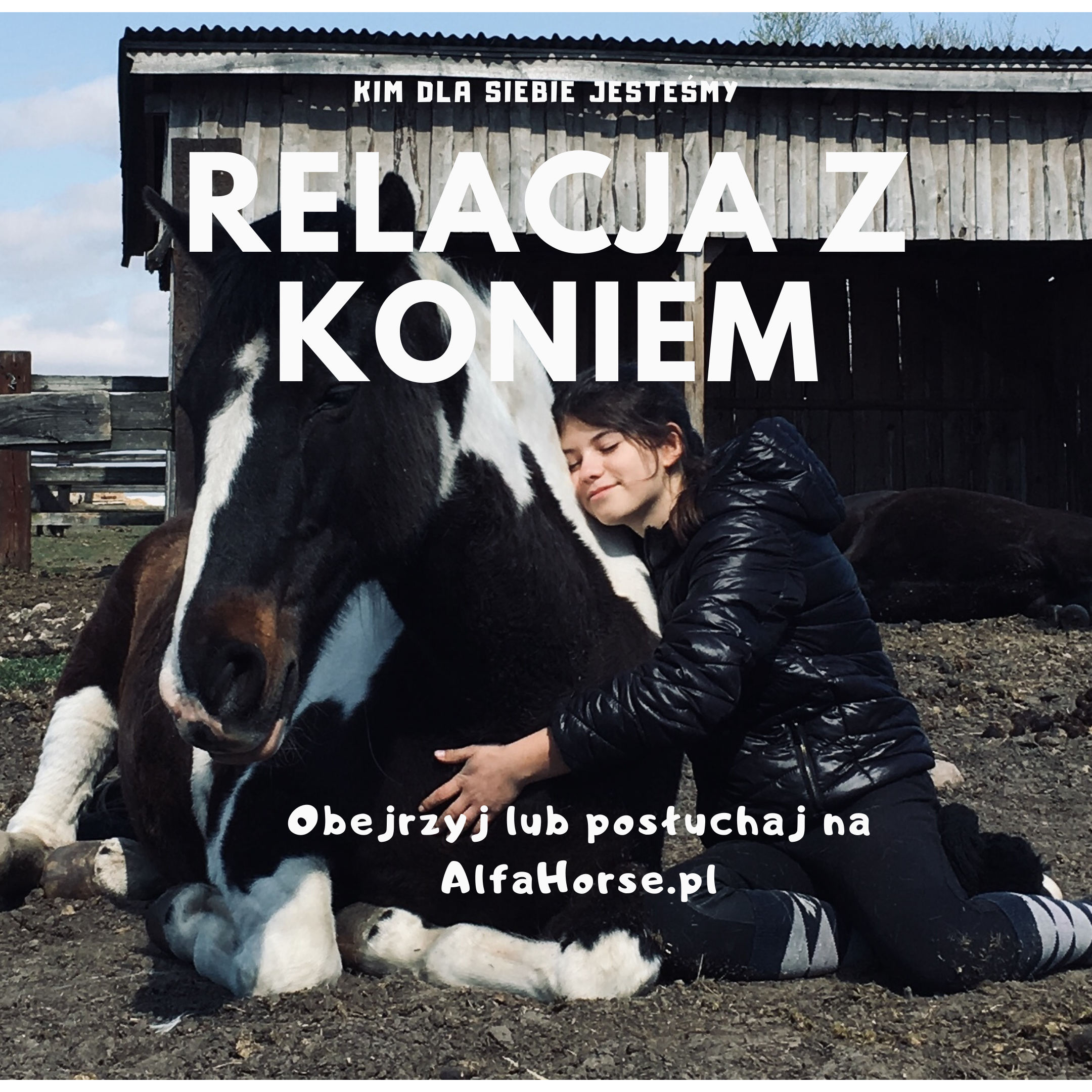 relacja_konie-trening