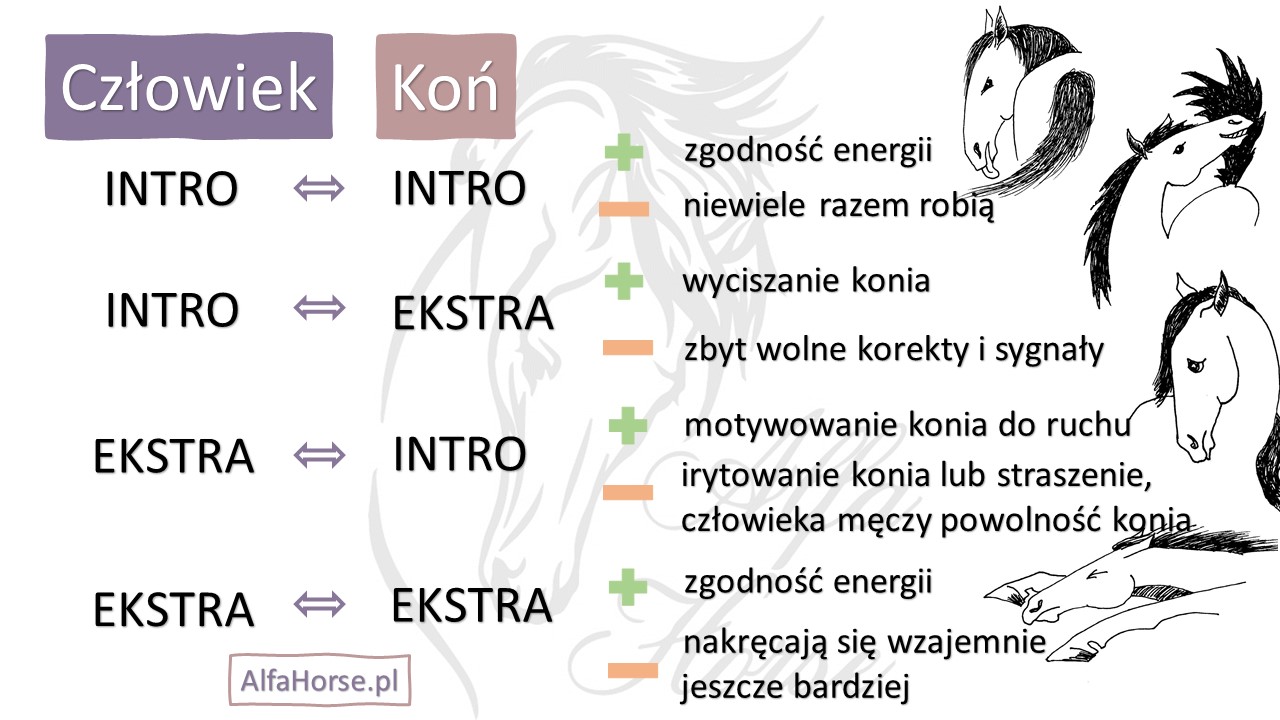 dopasowanie_czlowiek_kon