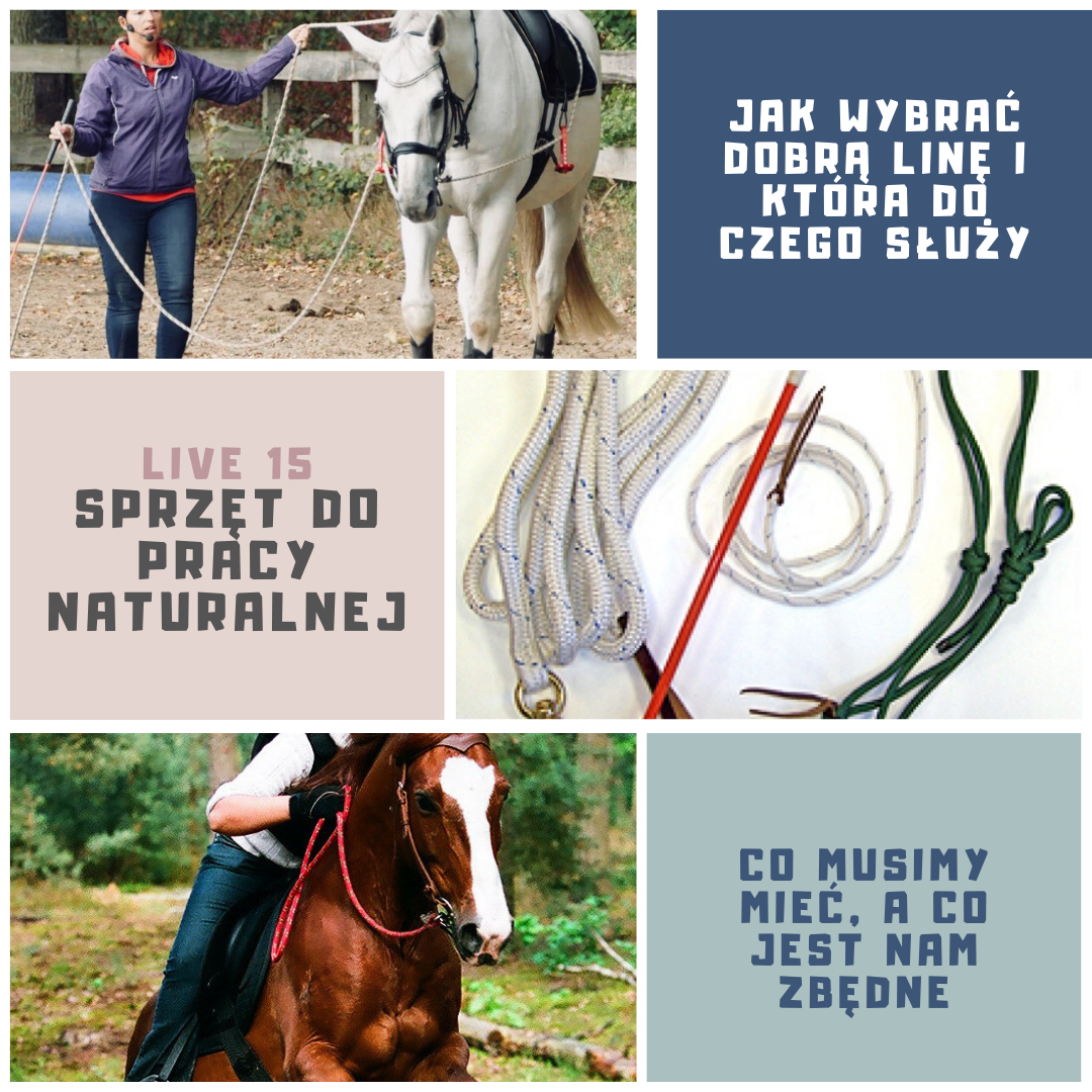 sprzet_naturalny_trening_koni