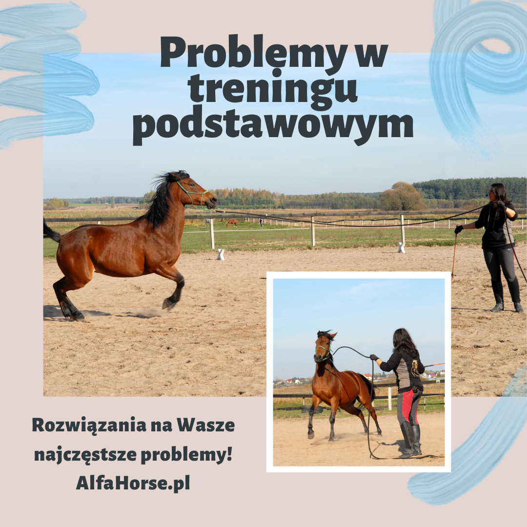 problemy_trening_koni_podstawowy
