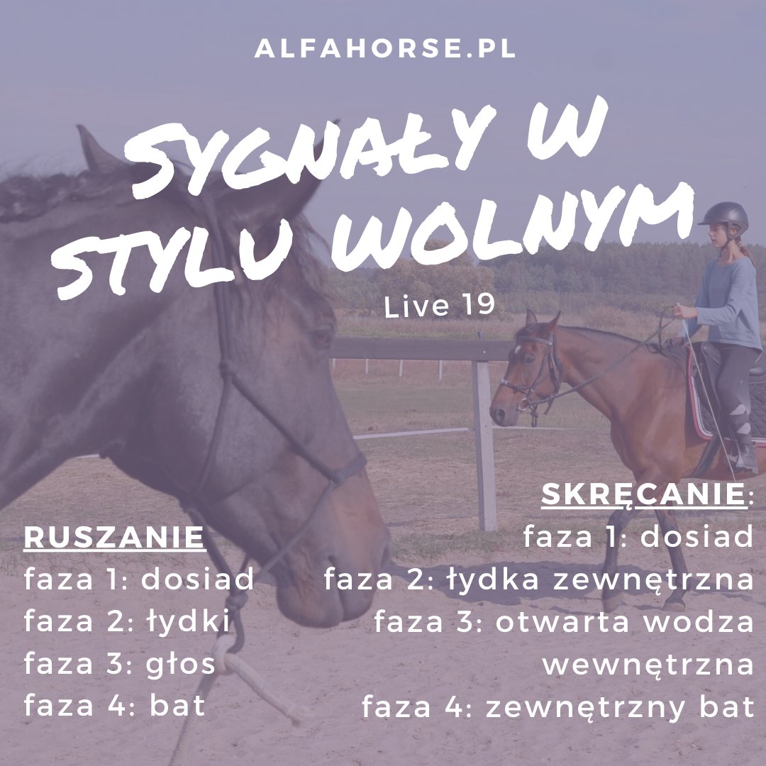 jazda_konna_styl_wolny