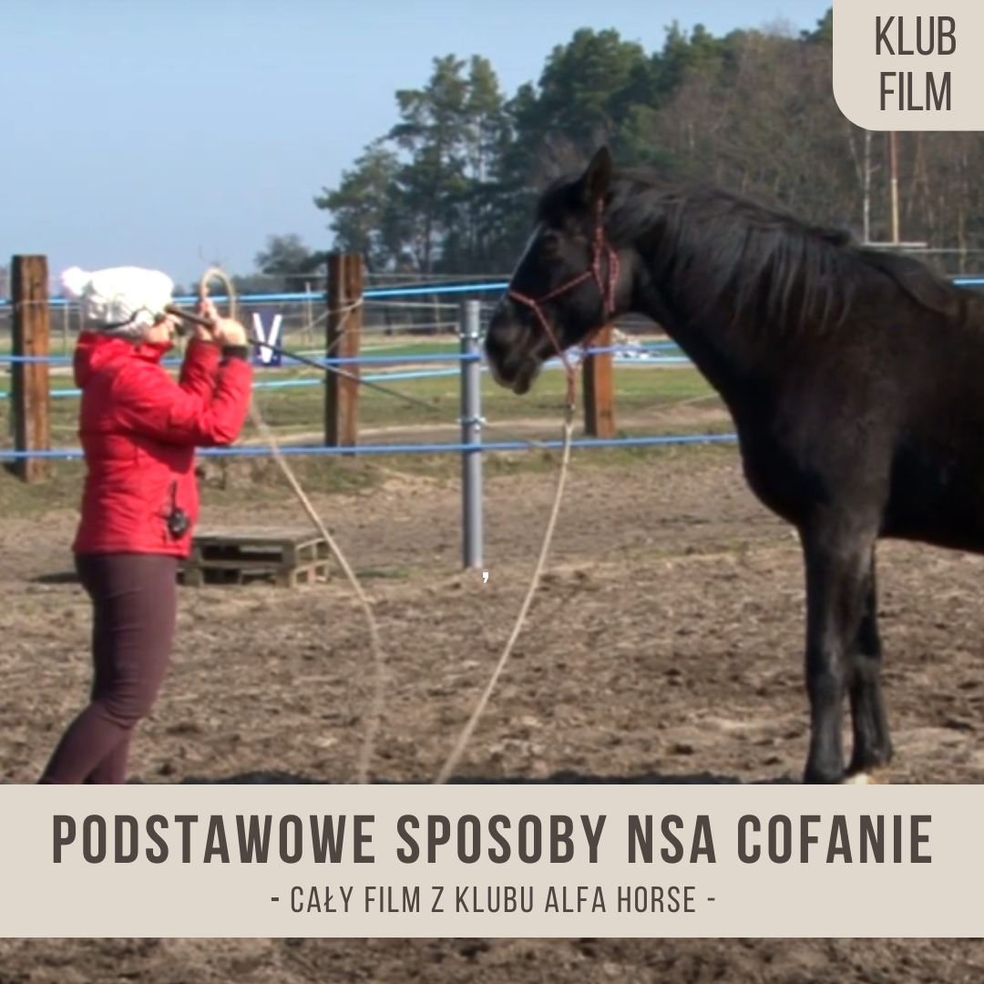 podstawowe_sposoby_na_cofanie