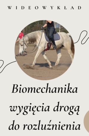 wideowykład 1 biomechanika wygięcia drogą do rozluźnienia