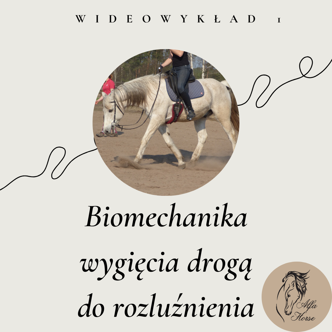 wideowykład 1 biomechanika wygięcia drogą do rozluźnienia